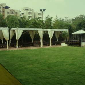 lawn